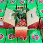 in thùng carton đựng vải trứng hưng yên