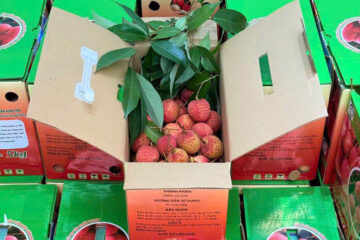 in thùng carton đựng vải trứng hưng yên