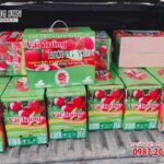 in thùng carton đựng vải trứng hưng yên