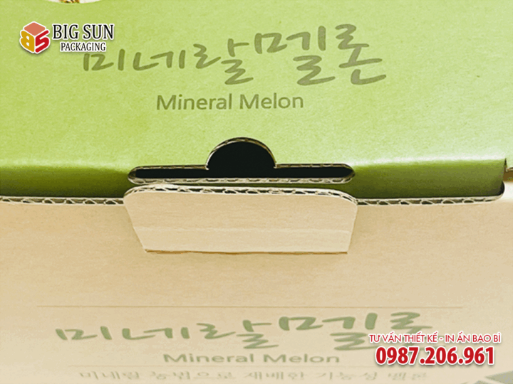 In thùng carton đựng dưa lưới có quai xách - Ảnh 5