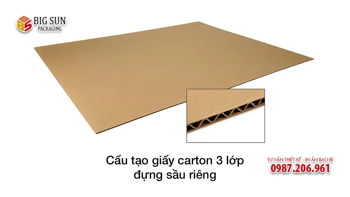 Cấu tạo giấy carton 3 lớp đựng sầu riêng