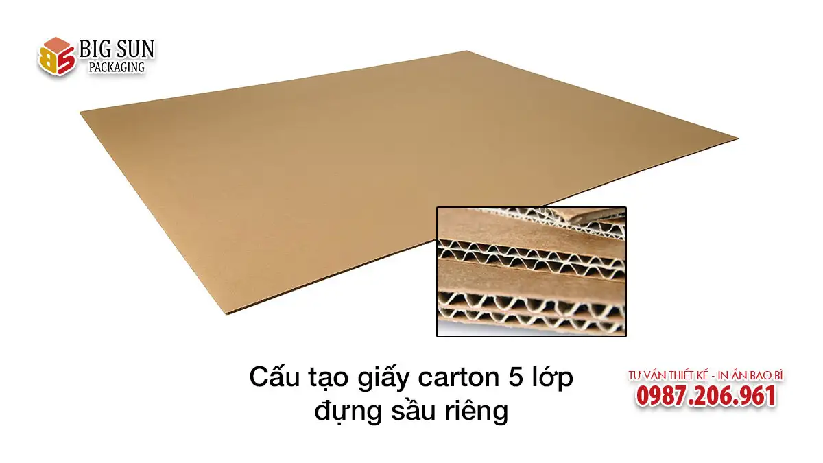 Cấu tạo giấy carton 5 lớp đựng sầu riêng