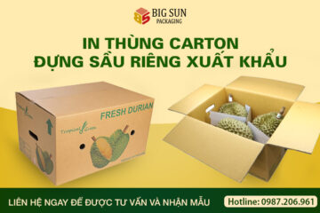 In thùng carton đựng sầu riêng xuất khẩu bền đẹp giá rẻ