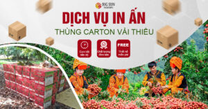 dich vu in thung carton dung vai thieu