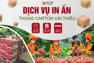 In thùng carton đựng vải thiều xuất khẩu chất lượng giá rẻ