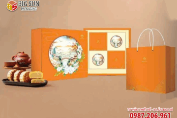 in hop banh trung thu binh an bao ngoc cam 1