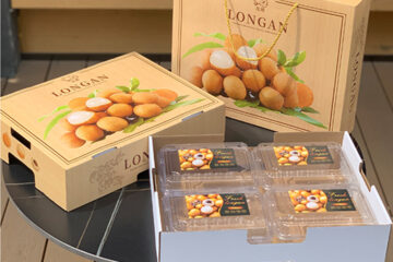 In hộp carton đựng nhãn vân gỗ