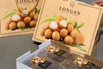 In hộp carton đựng nhãn vân gỗ