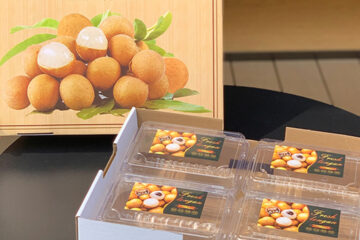 In hộp carton đựng nhãn vân gỗ