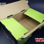 in thùng carton dưa lưới màu xanh đen