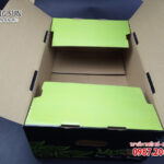 in thùng carton dưa lưới màu xanh đen