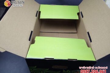 in thùng carton dưa lưới màu xanh đen