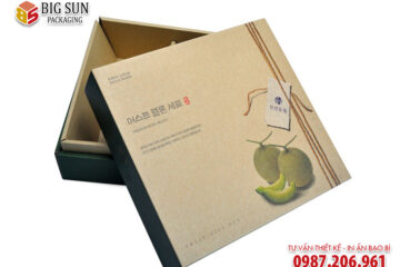 in hộp đựng dưa lưới 4 ngăn