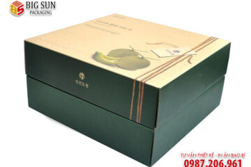 in hộp đựng dưa lưới 4 ngăn