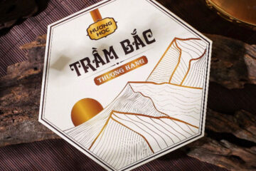 in hộp đựng nhang vòng trầm bắc Hương Học