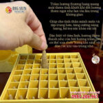 in hộp đựng nụ trầm hương Hoàng Đan Tea