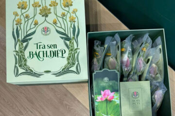 in hộp giấy đựng trà sen bách diệp