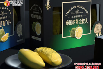 In hộp carton đựng sầu riêng thượng hạng
