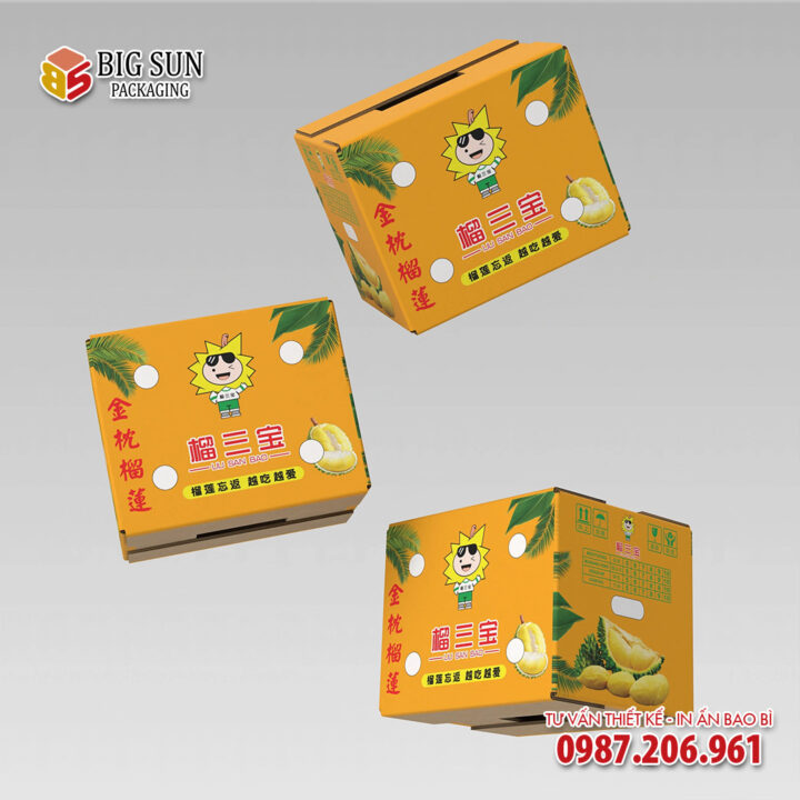 In thùng carton đựng sầu riêng Tam Bảo