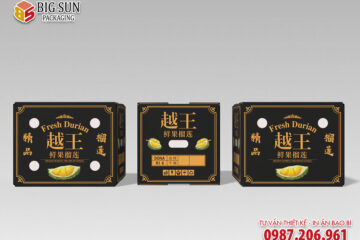 In thùng carton đựng sầu riêng sang trọng