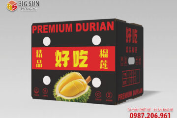 In thùng carton đựng sầu riêng màu đen thượng hạng