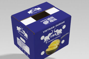 In thùng carton đựng sầu riêng xuất khẩu