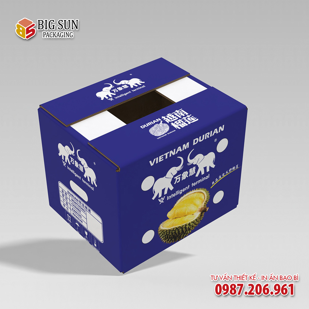 In thùng carton đựng sầu riêng xuất khẩu