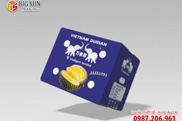 In thùng carton đựng sầu riêng xuất khẩu