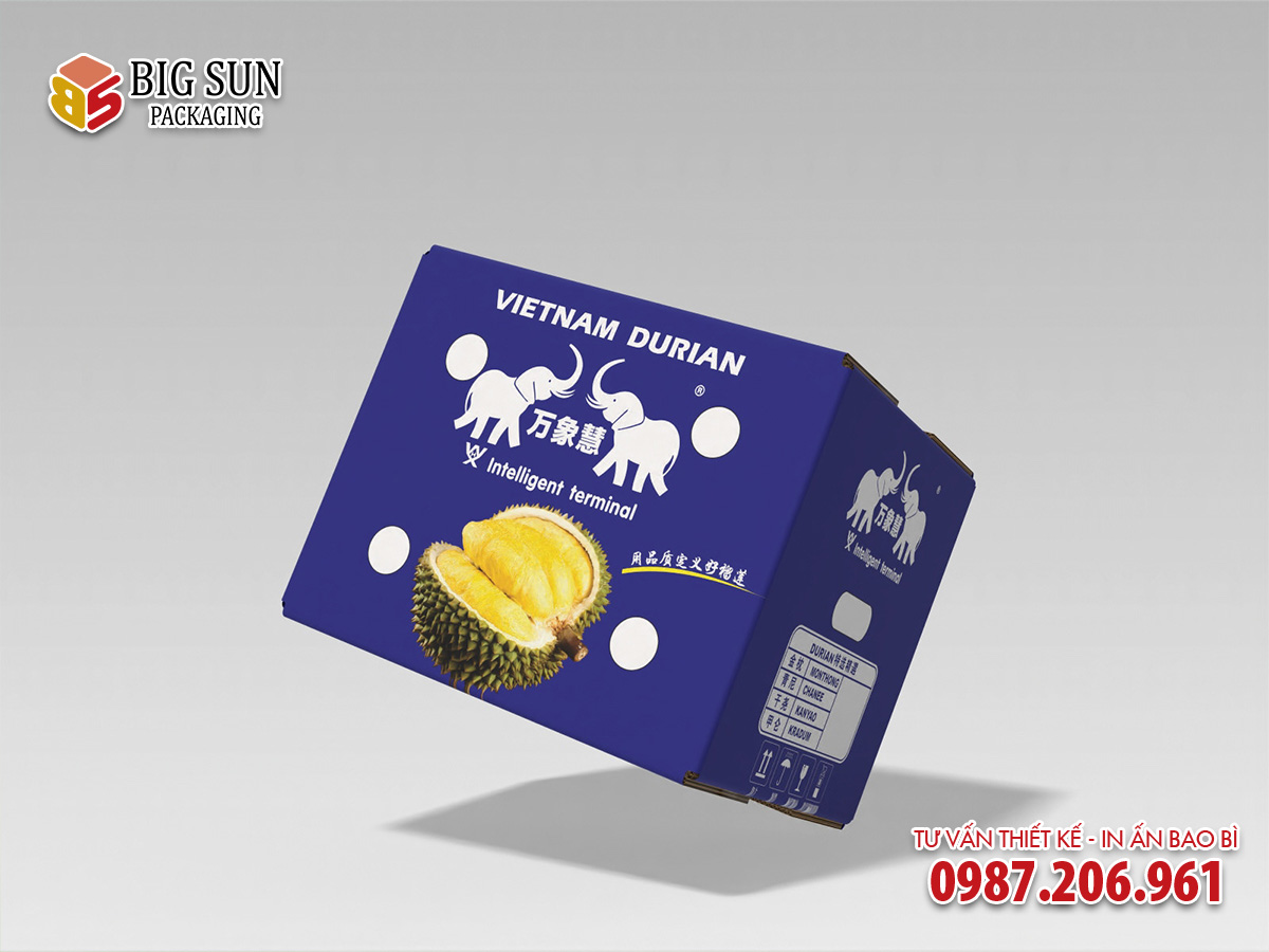 In thùng carton đựng sầu riêng xuất khẩu