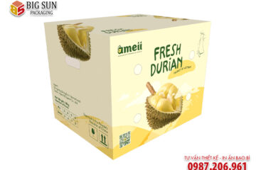 In thùng carton đựng sầu riêng Ameii