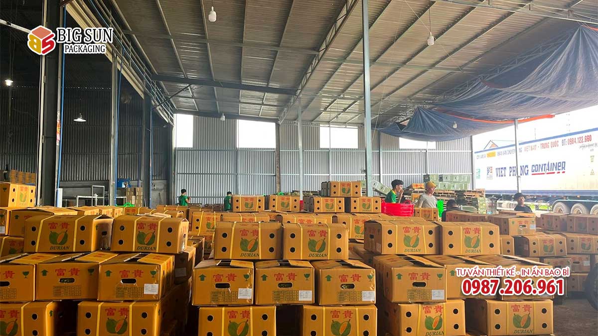 Kho thùng carton đựng sầu riêng