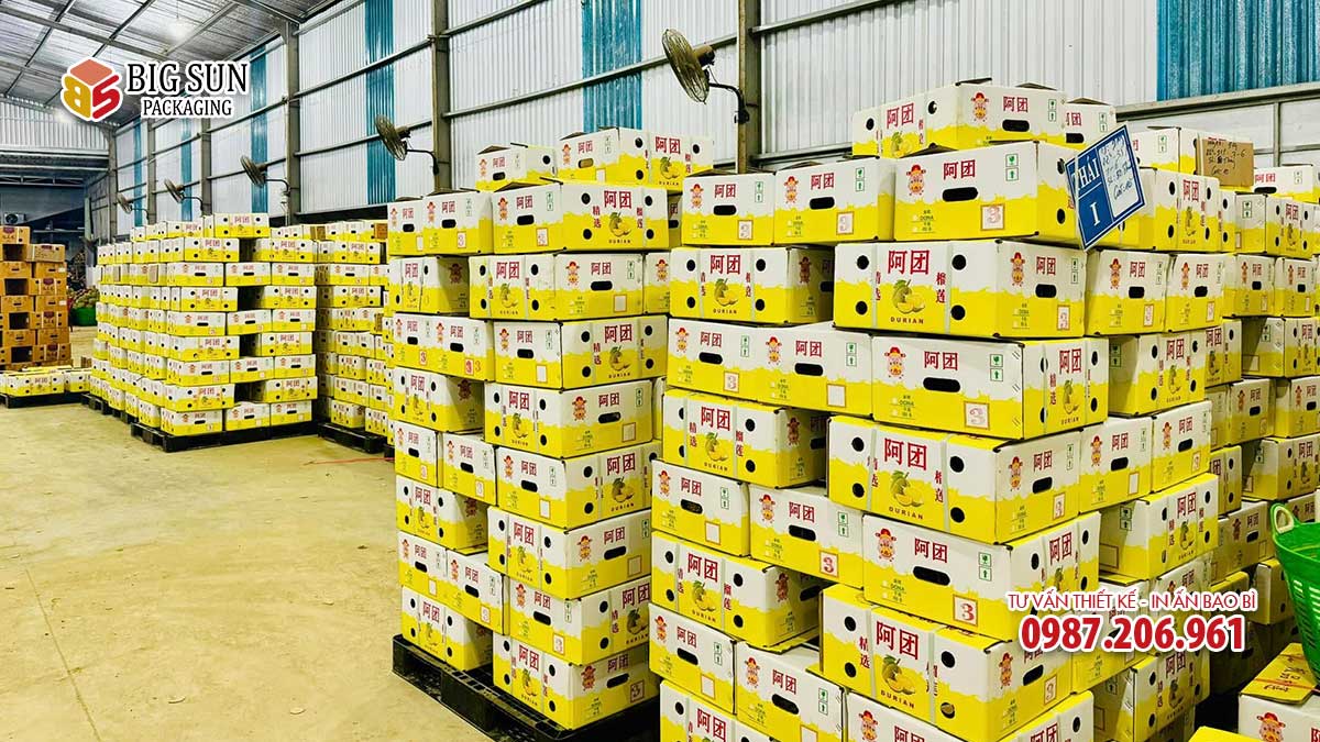 Kho hàng thùng sầu riêng xuất khẩu Trung Quốc