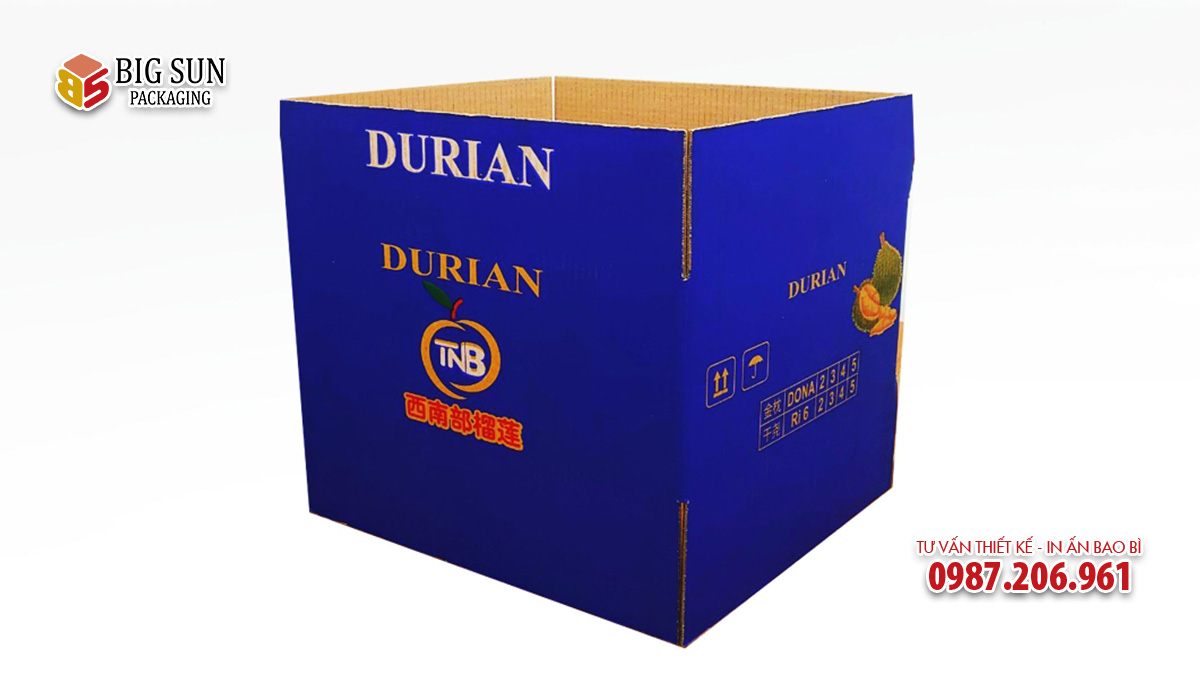 Mẫu thùng carton đựng sầu riêng xuất khẩu Trung TNB Durian
