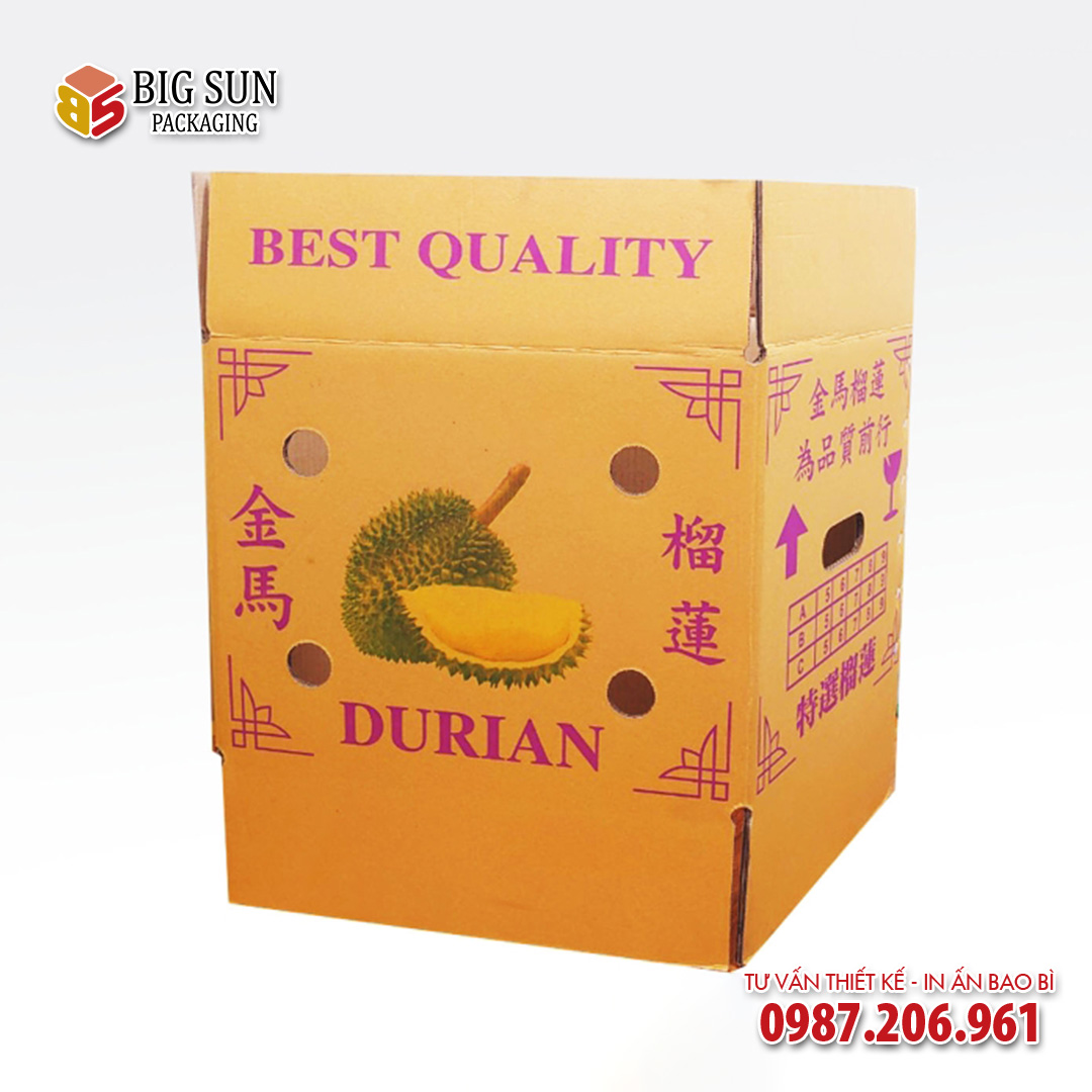 Mẫu thùng carton đựng sầu riêng dễ dàng vận chuyển
