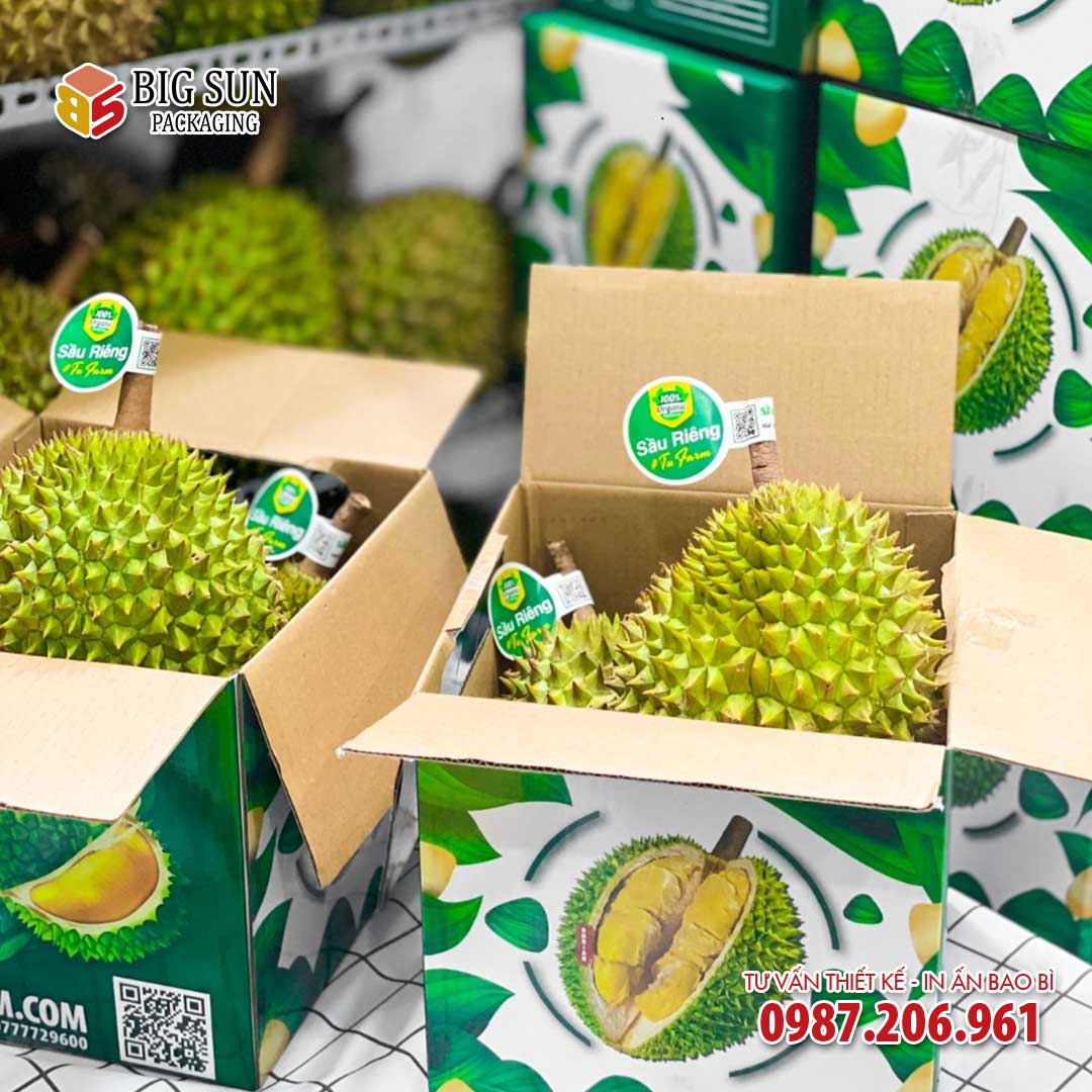 Mẫu thùng carton đựng sầu riêng bán lẻ Việt Nam