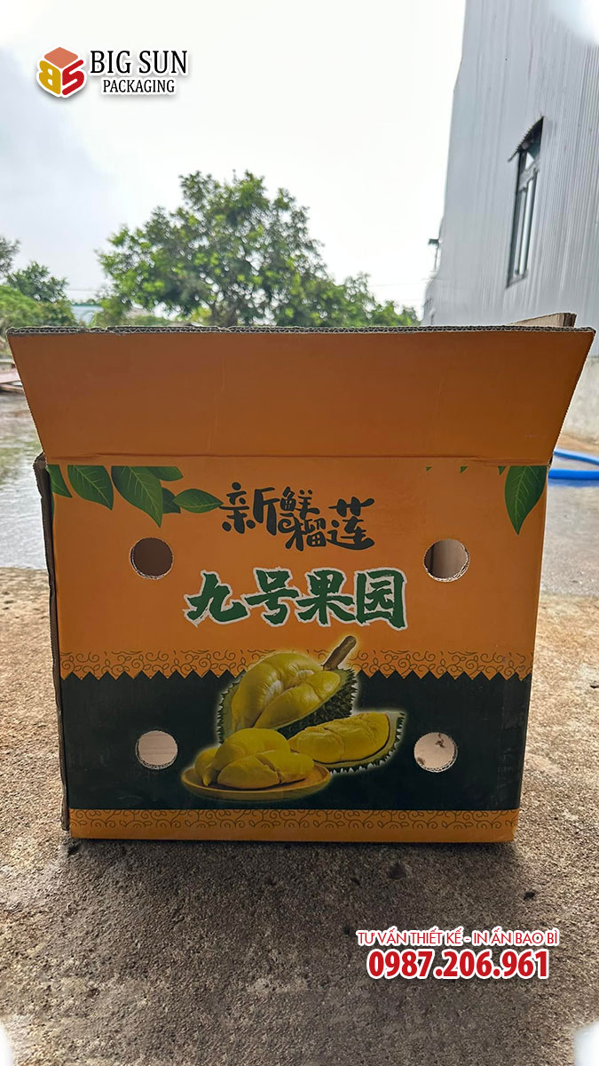 Mẫu thùng carton đựng sầu riêng 5 lớp xuất khẩu Trung