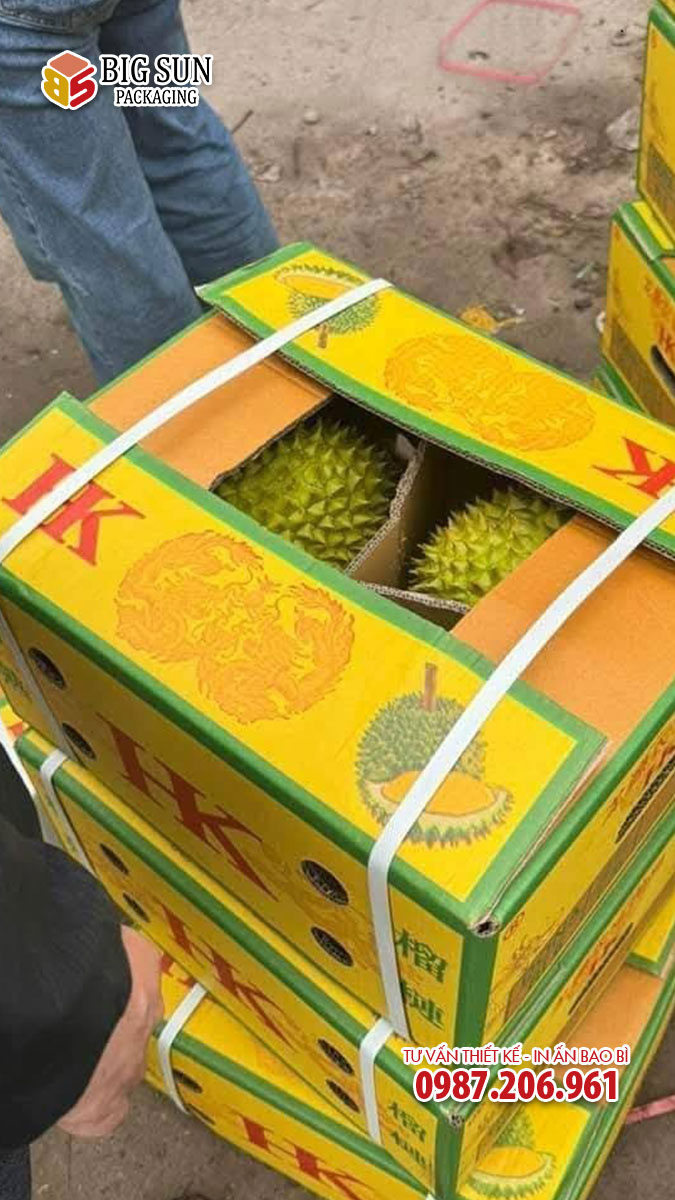Mẫu thùng carton đựng sầu riêng HK