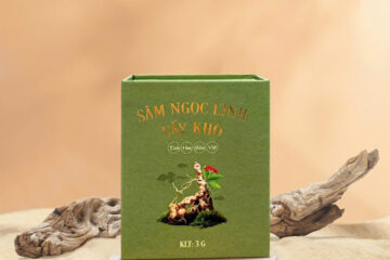 in hộp giấy Sâm Ngọc Linh sấy khô