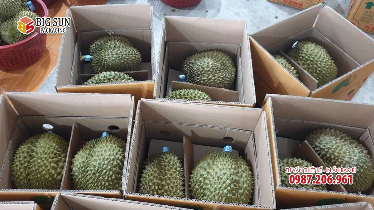 Carton đựng sầu riêng 2 quả