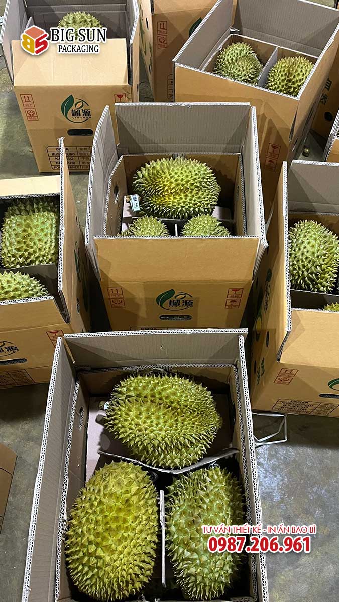 Carton sầu riêng 3 quả