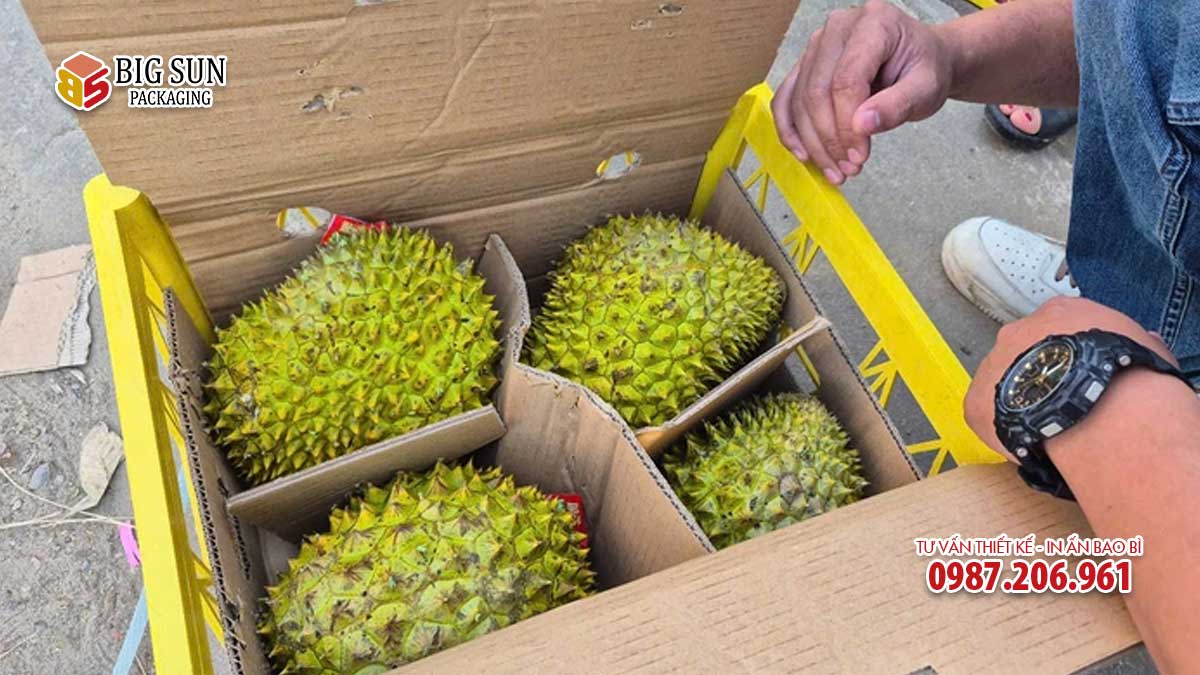 Thùng sầu riêng 4 quả
