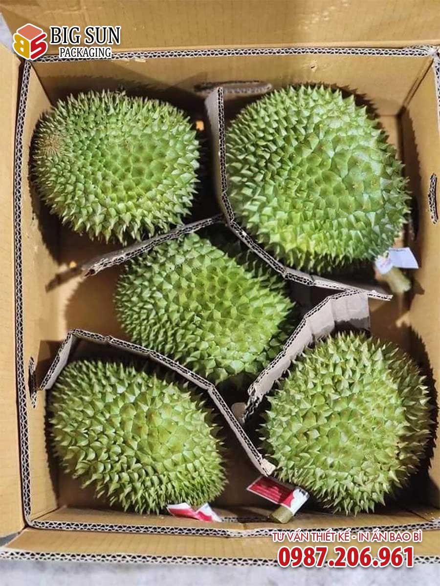 thùng carton đựng sầu riêng 5 quả
