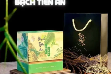 In hộp trà bạch tiên an