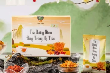 In hộp trà đông trùng hạ thảo Quê Việt
