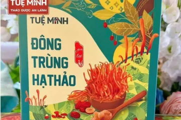 In hộp trà đông trùng hạ thảo Tuệ Minh