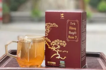 In hộp trà hồng huyết nam y