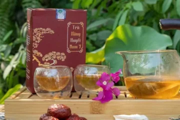 In hộp trà hồng huyết nam y