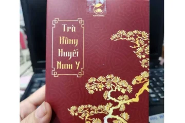 In hộp trà hồng huyết nam y