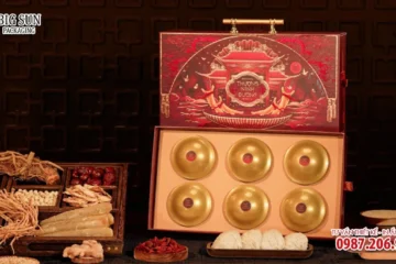 hộp đựng Yến