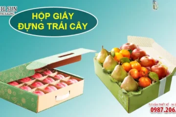 HỘP CARTON ĐỰNG HOA QUẢ NẮP ÂM DƯƠNG